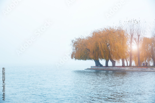 Obraz na płótnie exciting charming autumnal minimalistic landscape with an island of yellow trees in the middle of a lake in a misty morning w salonie