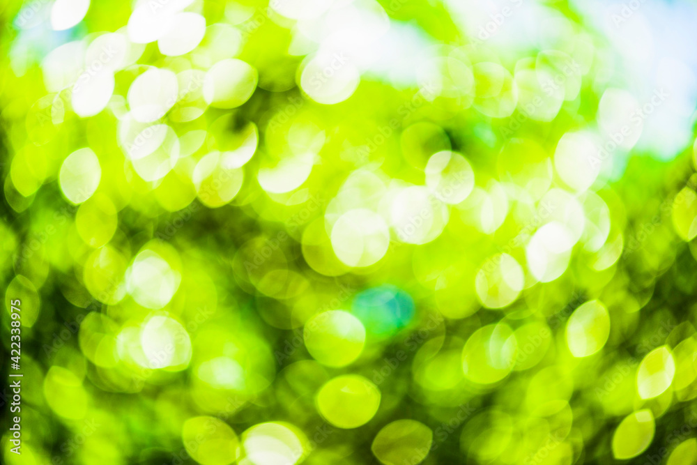 Nature green tree abstract defocus as background Nature green tree abstract defocus as background