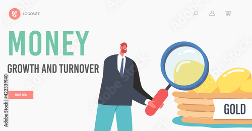 Money Growth and Turnover Landing Page Template. Diversification, Risk Management Strategy for Investment or Saving