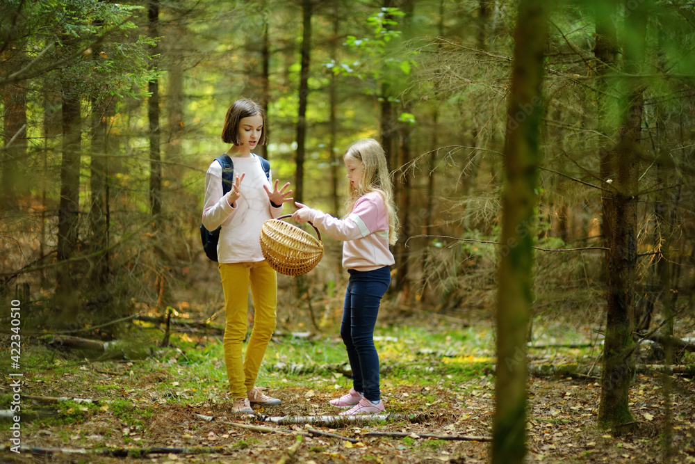 Two cute young sisters having fun during forest hike on beautiful summer day. Children exploring nature. Active family leisure with kids.