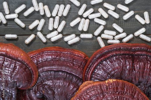 Ling zhi mushroom and capsule on wood table photo