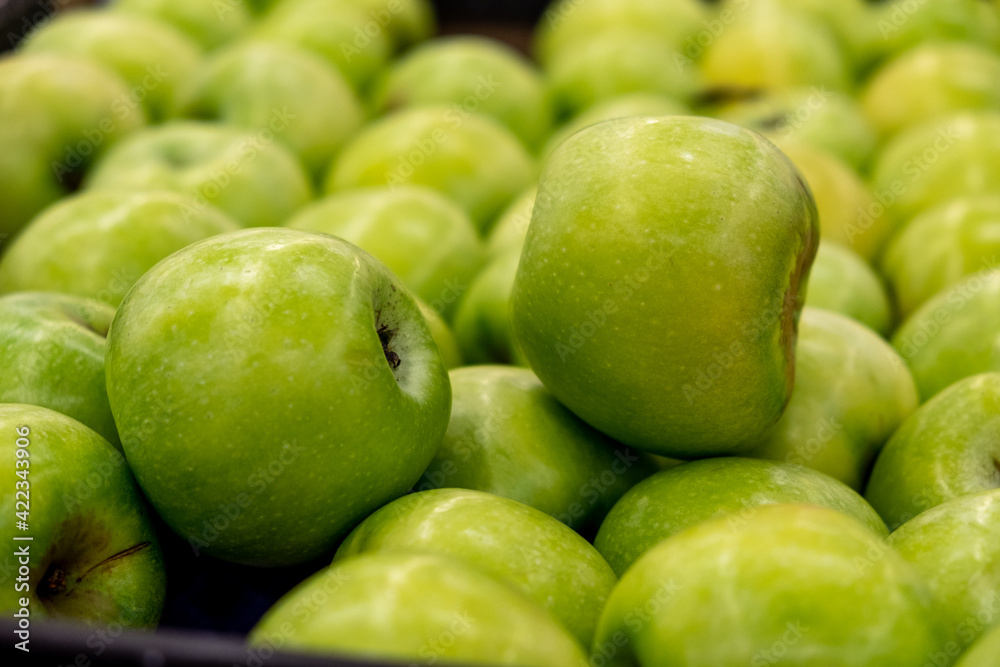 Background from green ripe apples. Ripe green apples beautifully arranged. Background from green ripe apples. Ripe green apples beautifully arranged.