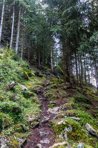 Wandern im   tztal