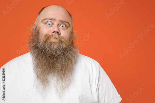 Close up fat fun cool caucasian pudge obese chubby overweight tattooed blue-eyed bearded man has big belly wear white t-shirt looking camera isolated on red orange color background studio portrait