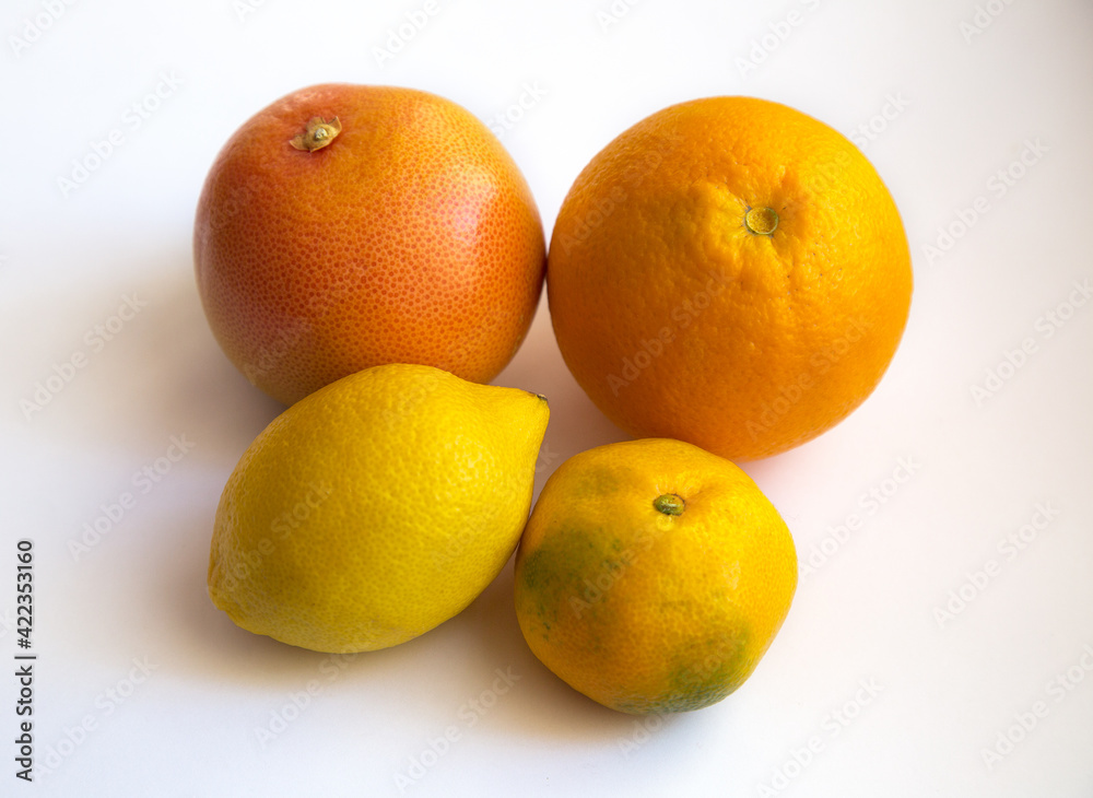 orange, mandarin, grapefruit and lemon on white background orange, mandarin, grapefruit and lemon on white background
