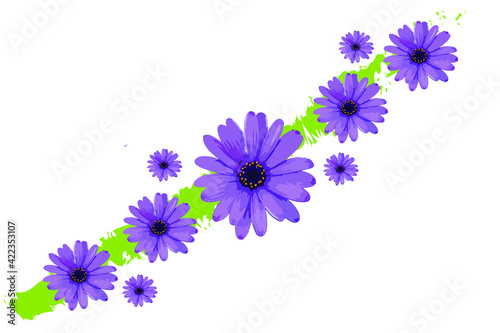 Composicion vectorial de margaritas moradas con una division angular verde, vectorial, morado verde y amarillo