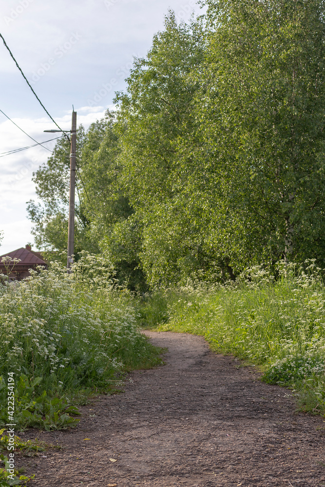 Dirt road leading to a rural house against a background of green grass Dirt road leading to a rural house against a background of green grass