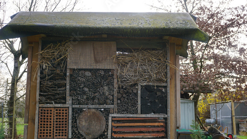 insect-hotel insects house