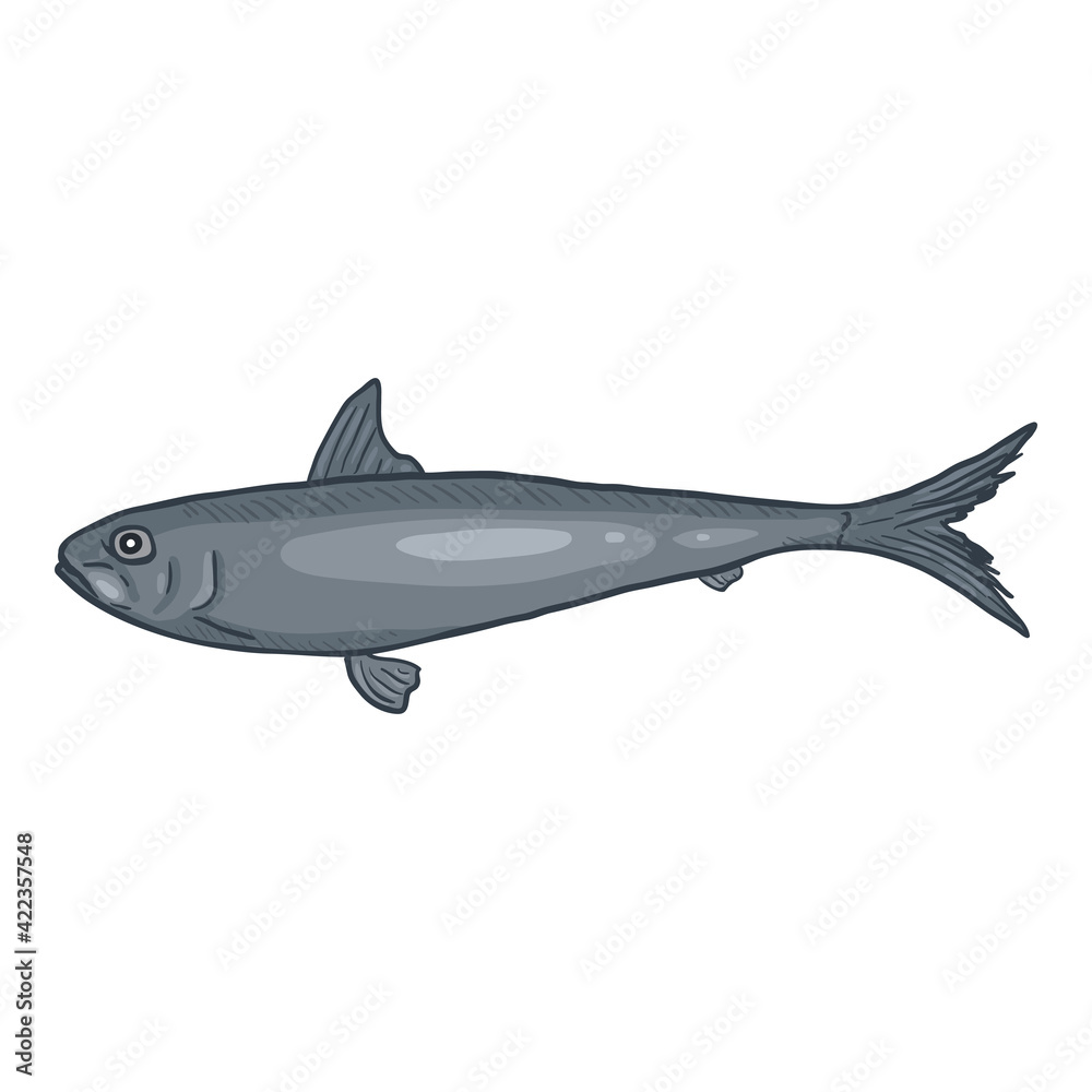 Sardine Cartoon Fish Vector Illustration.
