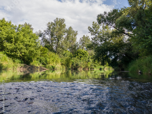 Landscape with river with rapids and flat surface with reflection, banks overgrown with greenery, riparian zone full of grass and trees during sunny summer day, natural ecosystem