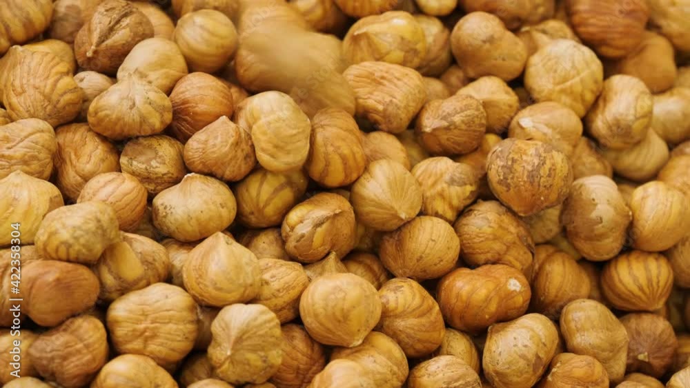Hazelnuts falling during selection at production factory close up Hazelnuts falling during selection at production factory close up