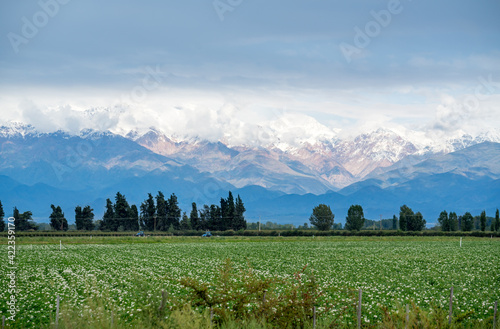 Argentina, District of Mendoza, the Uco Valley.
Beautiful road 89. La Carrera, Tupungato to Mendoza photo