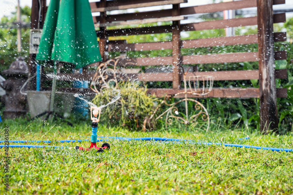 Water sprinkler system watering the green grass in backyard