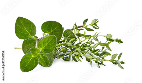 Oregano leaves with  thyme isolated on white background. Mixture of herbs. Herbs fresh. Spices isolated.