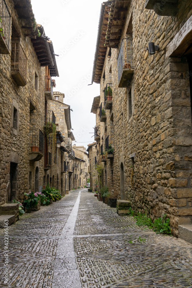 narrow cobblestone street with massive brown stone houses