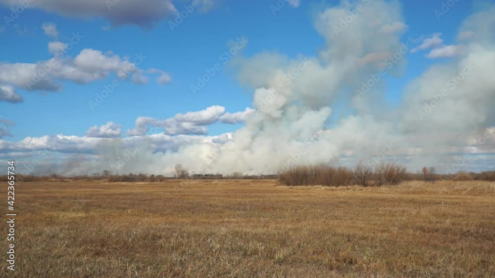 Smoke from a forest fire rises into the sky on a sunny autumn day. Dry grass and wind Smoke from a forest fire rises into the sky on a sunny autumn day. Dry grass and wind