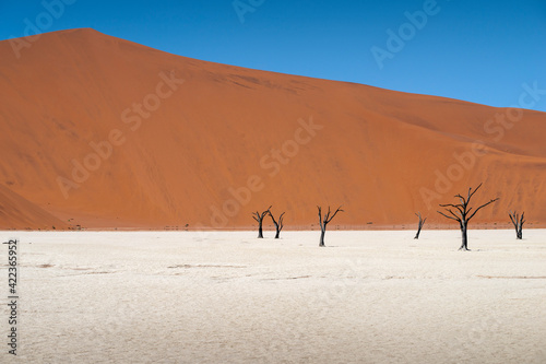 sunny day at Deadvlei