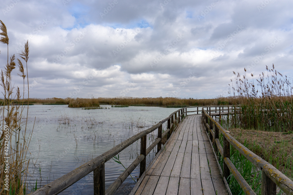 Naklejka premium long wooden pier and boardwalk in brackish water wetlands with esparto grass and lagoon under an overcast sky