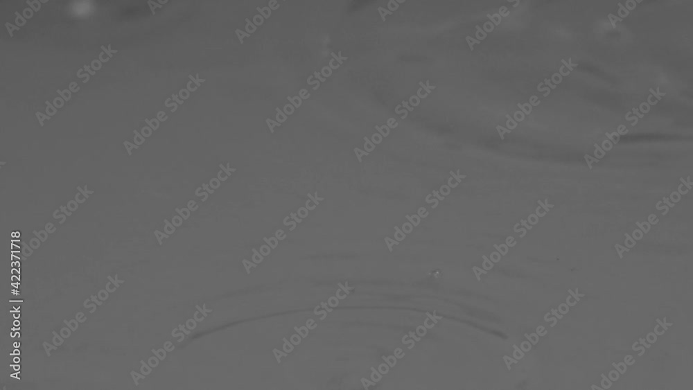 Close up slow motion shot of drops falling on the water splashing. Close up slow motion shot of drops falling on the water splashing.