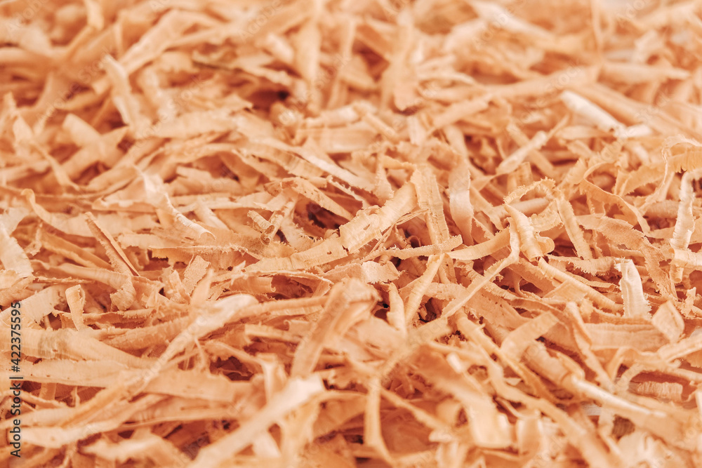 Wood shavings as background texture. Copy, empty space for text