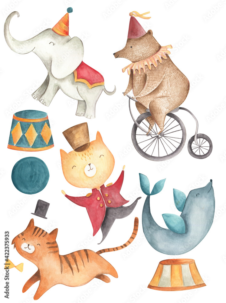 Circus Watercolor Illustration Elephant bear tiger seal cat Stock ...