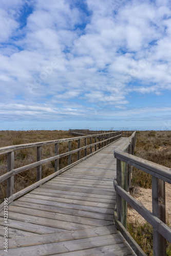 Fototapeta Naklejka Na Ścianę i Meble -  wooden boardwalk leading through coastal marshlands and sand dunes