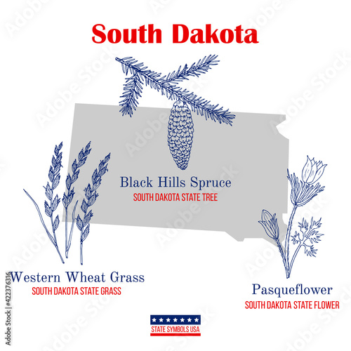 South Dakota. Set of USA official state symbols