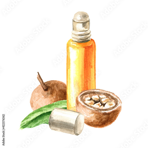 Medical Fruit Hydnocarpus anthelminthicus or Chaulmoogra and bottle of essential oil, Watercolor hand drawn illustration, isolated on white background photo
