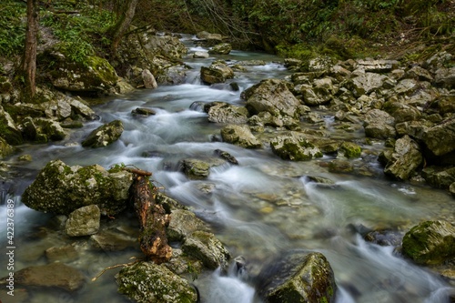 waterfall in the forest