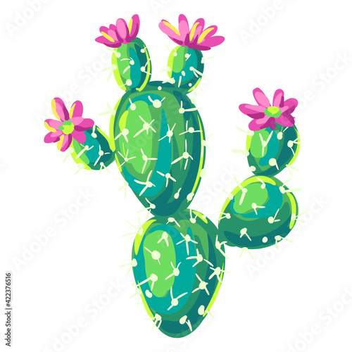 Illustration of cactus. Decorative spiky mexican cacti.
