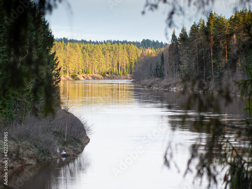 Large calm river in spring. The blue sky reflects in the river