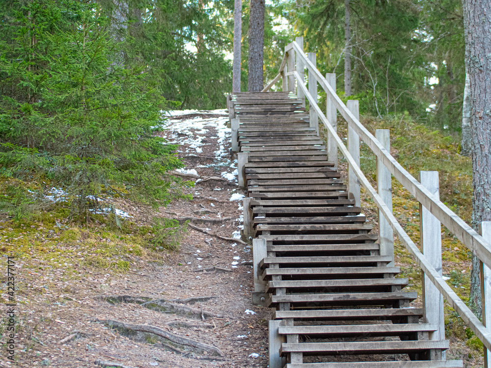 Nature trails wooden stairs and railings. Improvement of nature trails.