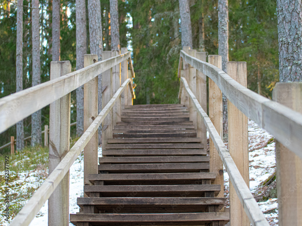Nature trails wooden stairs and railings. Improvement of nature trails.