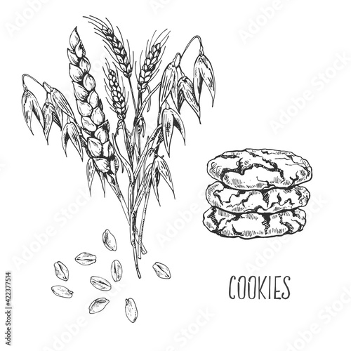 Hand drawn vector biscuits, cookies and cereals