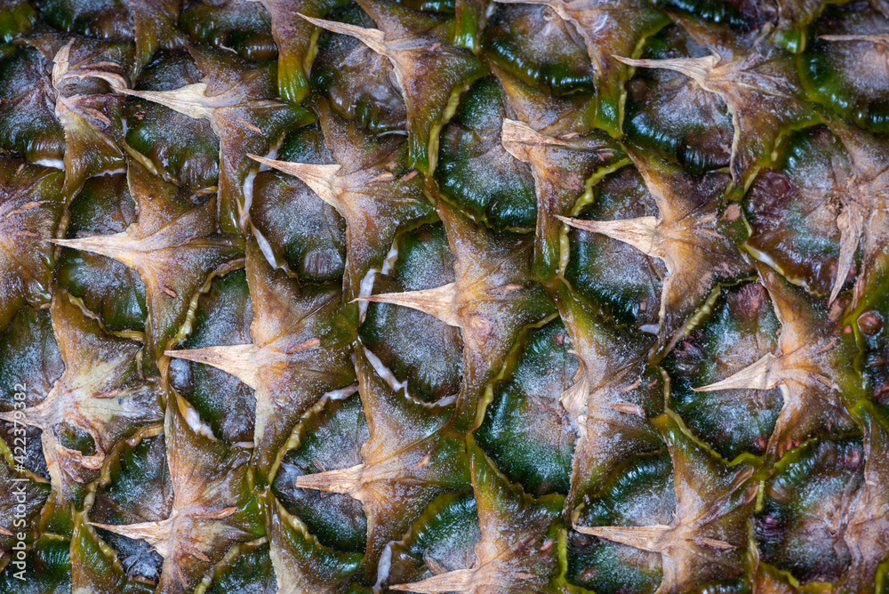 Close up of pineapple texture background Close up of pineapple texture background