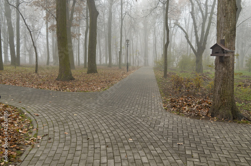 Obraz na płótnie Thick fog in the park. w salonie