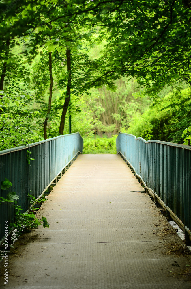 concrete bridge with a blue railing leading to the greenery with lots of trees