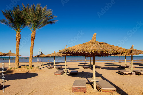 deserted empty beach  sun loungers and umbrellas on the shores of the Red Sea  evening  winter Sharm El Sheikh  Egypt