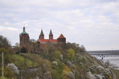 Plock Cathedral