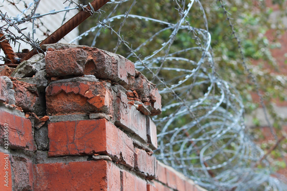 barbed wire on a brick wall. Prison and freedom concept. barbed wire on a brick wall. Prison and freedom concept.