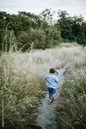 wildlife and trail with dry grass. the child runs away along the path. child runs across the field. The concept of Hiking 