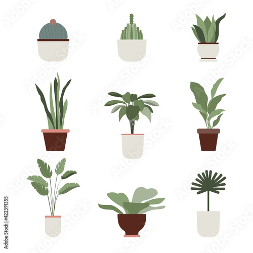 Home plants and flowers Vector icons set in flat design Tropical plants, cactus and succulents in different pots isolated on white background