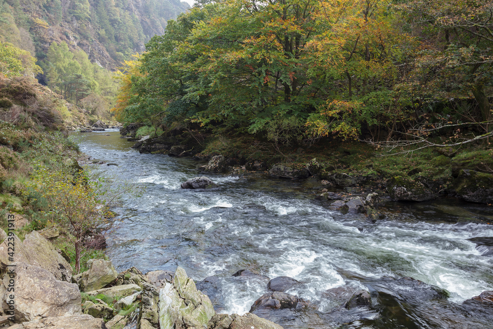 View along the Glaslyn River in autumn View along the Glaslyn River in autumn