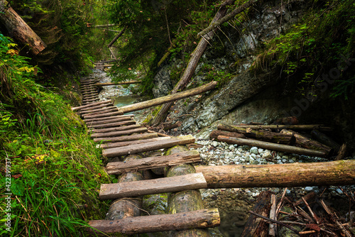 Wooden ladders over the stream in the gorges of the Slovak Paradise