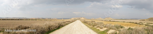 Fototapeta Naklejka Na Ścianę i Meble -  panorama of a gravel road leading into a wild desert landscape under an expressive cloudy sky
