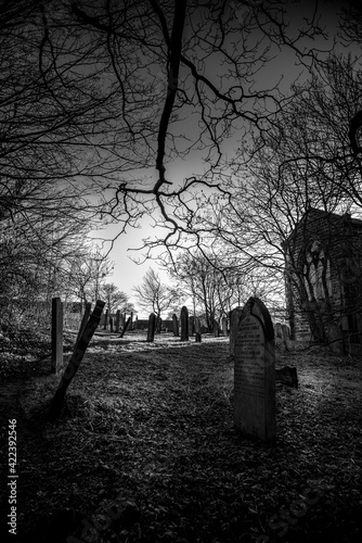 cemetery at night