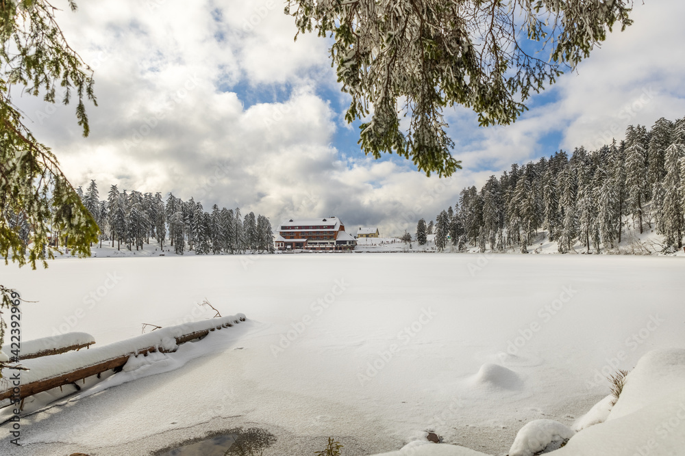 Obraz premium winter landscape with lake