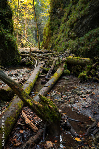 The trail through the beautiful canyon of the Slowacki Raj National Park