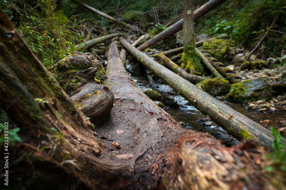 Wooden ladders over the stream in the gorges of the Slovak Paradise Wooden ladders over the stream in the gorges of the Slovak Paradise