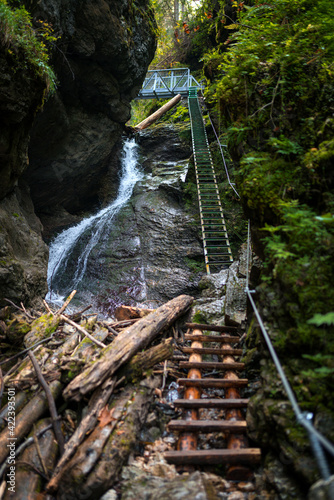 Difficul trail with ladder near the waterfall in canyon of National park Slovak paradise, Slovakia. photo